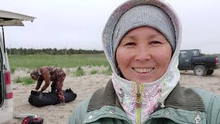 Наши удочки трещат. Рыбалка в Охотском море.
