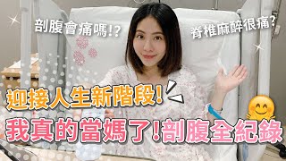 剖腹產全紀錄！腹膜外剖腹真的不會痛嗎？阿拼與小星星的故事【👨‍👩‍👦PIN命愛媽咪👶】