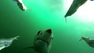 Top 10 Creepiest Things Caught On GoPro Camera! ( Scariest Things Caught on GoPro Camera)