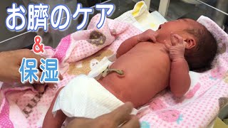 【新生児】【へその緒】助産師さんのに教えてもらう沐浴後のお臍の消毒＆保湿