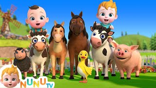 Moo Moo 🐄 Oink Oink ! 🐷 Animal Sound Song | Nursery Rhymes & Kids Songs | NuNu Tv