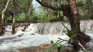 Attappadi forest | waterfall