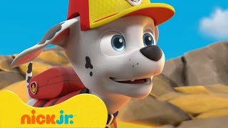 Patrulha Canina | Resgates do Vulcão! | Missões Subaquáticas e com Dinossauros | Nick Jr.