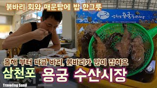 삼천포 용궁 수산시장 FT. 붉바리 2만원, 칼칼한 매운탕. Samcheonpo Yonggung Fish Market, korea