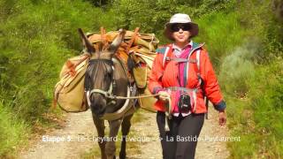 Eselwandern - Randonnée avec un âne - Cévennes - Stevensonweg - Chemin de Stevenson - GR70