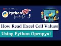 Python Openpyxl:  How to Read Excel Cell Values in a Snap!