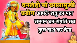 वनखंडी मां बगलामुखी प्रयोग #vankhandi #baglamukhi #prayog #जयमहाकालीज्योतिषकेंद्र