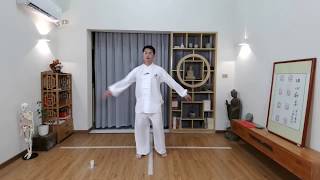 Chen Style TaiChi 18 Forms  / Master Ping