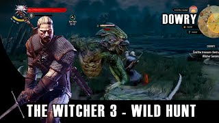 The Witcher 3: Wild Hunt - Dowry