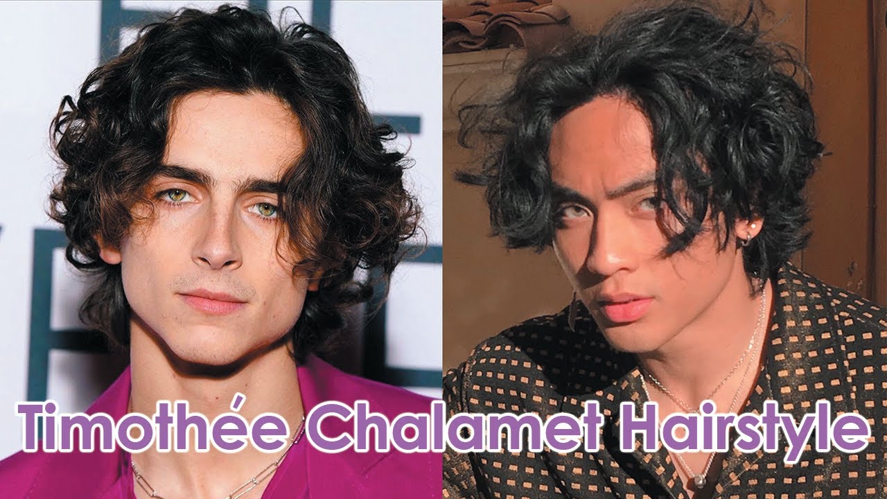 Timothée Chalamet Inspired Hairstyle Tutorial Ny Beauty Review