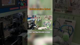 Collaborative Robots: Full-Automated Hose Assembly#collaborativerobots #assembly #evsrobot #robot