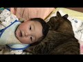 猫に毛づくろいをされて、喜ぶ赤ちゃん