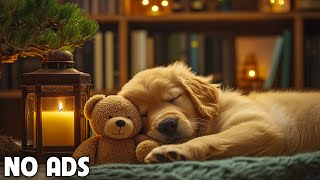 犬を落ち着かせるための音楽12時間🎵 犬の睡眠音楽🐶 分離不安を和らげる音楽⭐広告なし