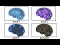 Your Brain Doesn't Rest While You Sleep — Here's What It Actually Does (Hour by Hour)sleeping