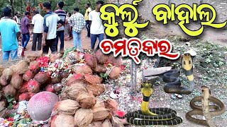 କୁର୍ଲୁ ବାହାଲ !! Kurlubahal chamatkar news!! Kurlubahal news!! Kurlubahal Sibaling!! Sambalpuri Video