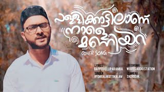 Pallikattilanu nale maniyara | New Mappila songs | trending Islamic devotional | Hydarali Kottikulam