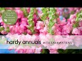 Hardy Annuals