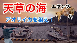 【釣り】#2　冬エギングにアイルビーバック！天草の海でアオリイカのキロアップをねらえ！！