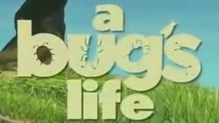A Bug's Life - Disneycember A Bug's Life - Disneycember