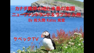 カナダ発祥の地と水鳥の楽園/ニューファンドランド＆ラブラドール州