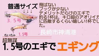 超無謀‼【1.5号のエギ】あえてデメリットだらけの1.5号サイズのエギでアオリイカを狙う‼長崎市、外海町、神浦港／小さいエギ／GoPro／（サオリール／エメラルダス）2020年10月13日