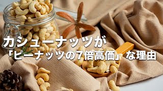 カシューナッツが「ピーナッツの7倍高価」な理由