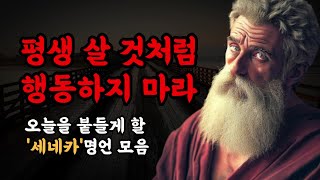 오늘을 붙들게 할 세네카 명언 모음ㅣ평생 살 것처럼 행동하지 마라ㅣ목적지에 도착하려면 한 길로만 가라#오디오북#세네카#인생명언