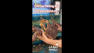 GIÁ CUA KING CRAB KHI VÀO CHÍNH VỤ LÀ BAO NHIÊU?