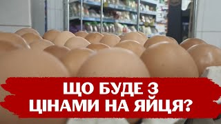 Чому подорожчали яйця і чи загрожує Україні дефіцит цього продукту