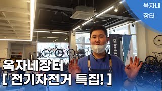 [옥자네장터] 전기자전거 특집 - 트렉, 퀄리, 벨로스타