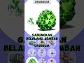 Gabungkan Belalang Sembah dan Uranium #shorts #youtubeshorts #games #animash #animals #animasi