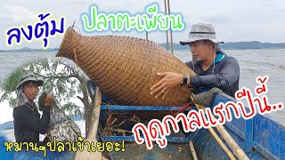 ลงตุ้ม​ ยามตุ้ม​ ปลาตะเพียน​ ฤดูกาล​แรกของปีนี้​EP.43