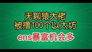 【ens域名】無聊猿大佬被擼100ETH，少年低價買到被盜域名不賺錢歸還失主!社區開發一鍵更換ens頭像工具！