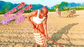 কৃষকরা মাঠে কিভাবে কাজ করে দেখুন | Village Life24