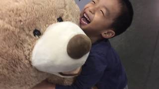 Costco Giant Teddy Bear