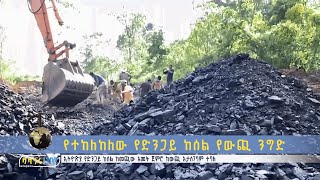 የተከለከለው የድንጋይ ከሰል የውጪ ንግድ