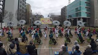 浜よさがんこ祭り 2019 常磐 花筐 東街区会場 2日目