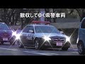 聖火リレー特装ハイラックス軍団＆警備車両特集 2020 tokyo olympic torch relay in fukushim