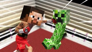 i hosted a minecraft boxing competition