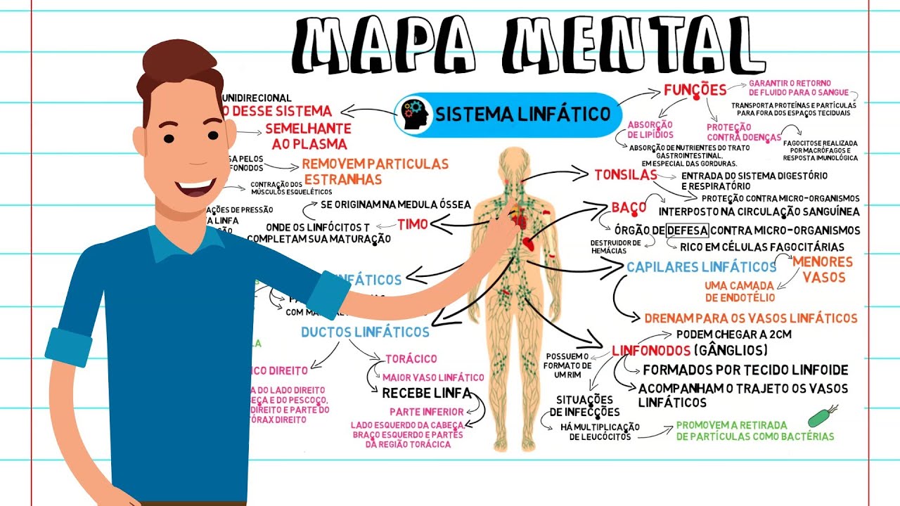 Mapa Mental Sistema Linfatico Nazaedu