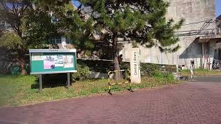 九大箱崎キャンパス跡地　取壊し　Ⅱ　「KYUSHU UNIVERSITY」Demolition