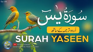 Surah Yaseen / Yasin Tarjuma ke sath | Tilawat | Episode 89 | Quran with Urdu Translation