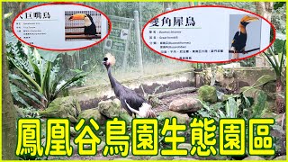 《鳳凰谷鳥園生態園區》位於南投縣鹿谷鄉 飼養展示臺灣本土及世界各地的珍禽異鳥 佔地30餘公頃