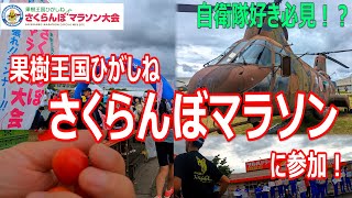 【参加賞さくらんぼ】果樹王国ひがしねさくらんぼマラソンに参加！（山形県東根市）2024.6.2