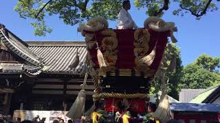 百舌鳥八幡宮 月見祭 令和元年 土塔町ふとん太鼓 宮出