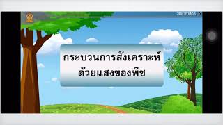 คลอโรฟิลล์กับการสังเคราะห์ด้วยแสง