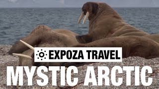 Mystic Arctic Vacation Travel Video Guide