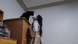 [냥냥케미] #뽀뽀냥이 #cat #고양이 #집사 #푸른산호초