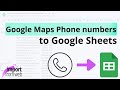 How to scrape Phone Numbers from Google Maps?