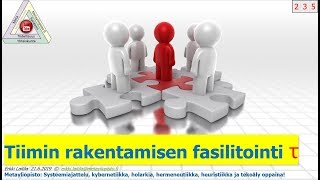 Tiimin rakentamisen edistäminen systeemitiedolla: fasilitointi